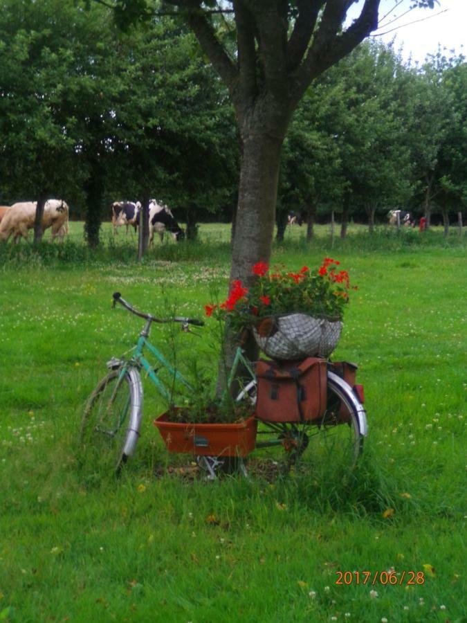 Camping Du Creulet Crouay Esterno foto