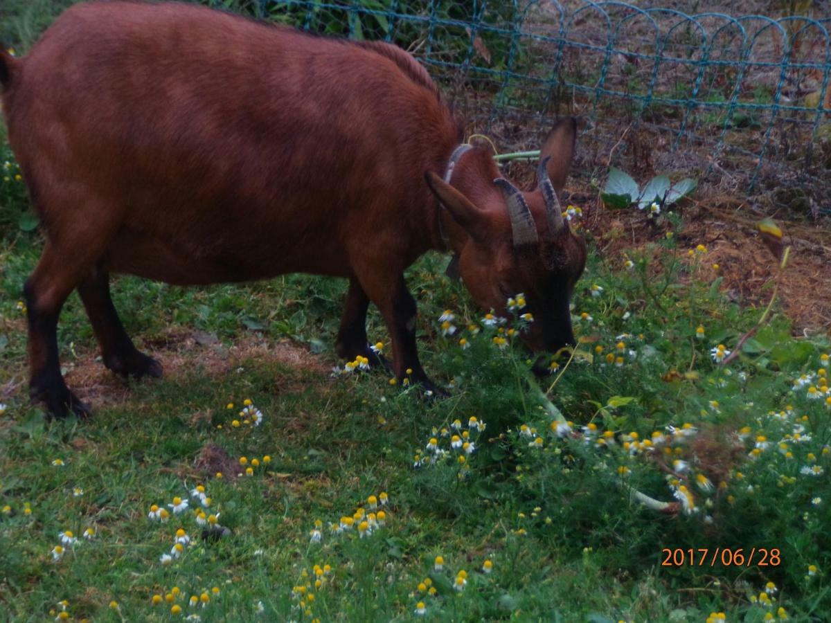 Camping Du Creulet Crouay Esterno foto