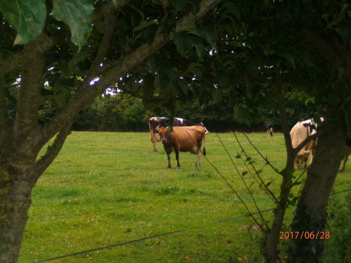Camping Du Creulet Crouay Esterno foto