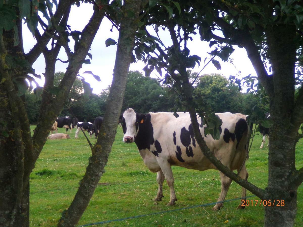 Camping Du Creulet Crouay Esterno foto